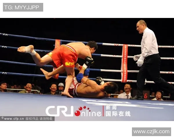 张开印与蓝桑坤的巅峰对决谁将成为新一代的拳击传奇